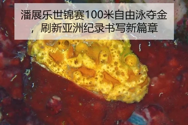 潘展乐世锦赛100米自由泳夺金，刷新亚洲纪录书写新篇章