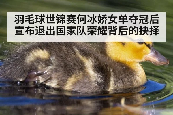 羽毛球世锦赛何冰娇女单夺冠后宣布退出国家队荣耀背后的抉择